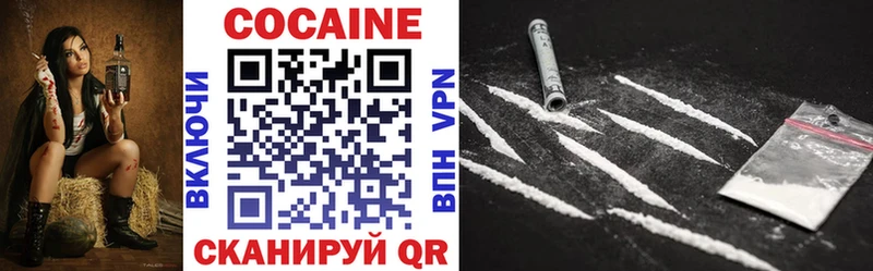 COCAIN Fish Scale  купить   Гремячинск 