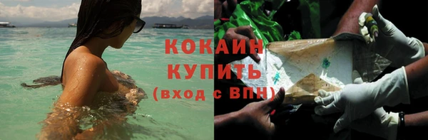 шишки Балабаново