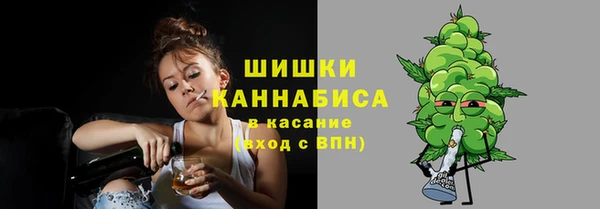 шишки Балабаново