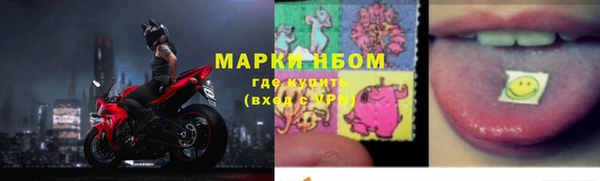 шишки Балабаново