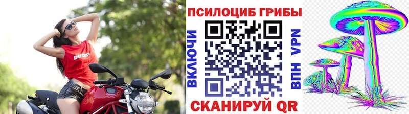 закладка  ОМГ ОМГ зеркало  Псилоцибиновые грибы Magic Shrooms  Гремячинск 